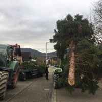 ohne Kran geht nichts!
