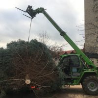 Das ist mal ein Tannenbaum