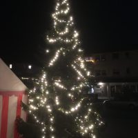 Was für ein Baum
